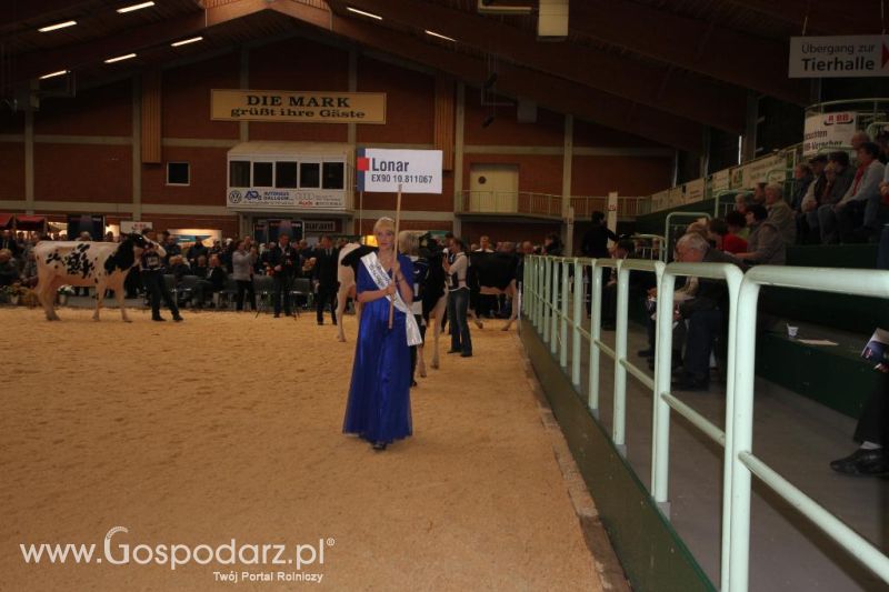 Wystawa  Blickpunkt Rind 2013 w miejscowości Paaren/Glien (Niemcy)