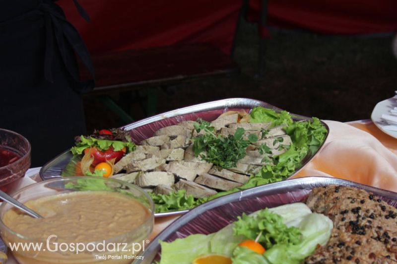 II Festiwal Wieprzowiny w Wąbrzeźnie