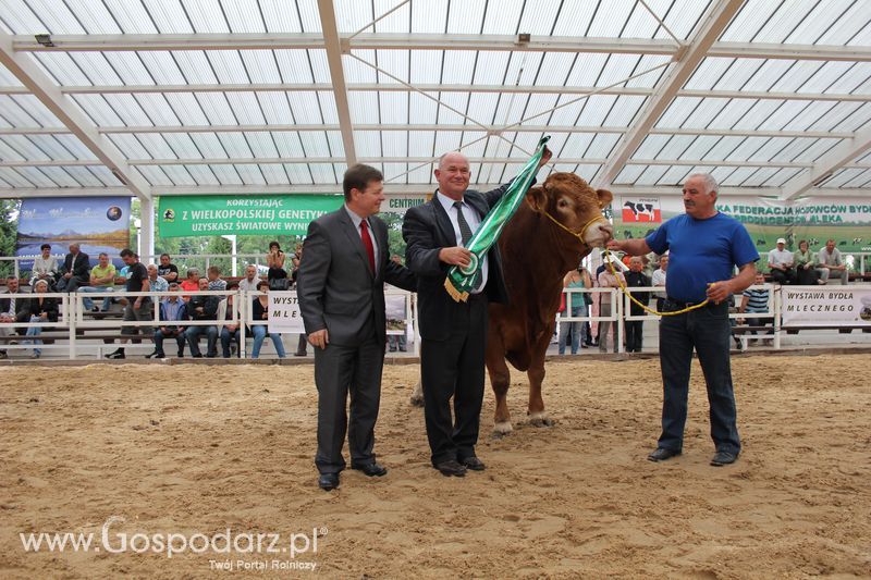 Czempioni XVII Regionalnej Wystawy Zwierząt Hodowlanych Sielinko 2011