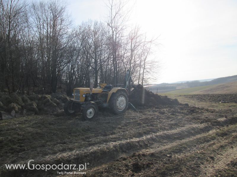 Fotki z wiosny 2015