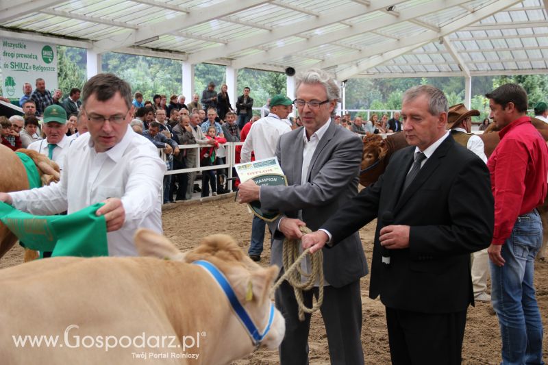 I Krajowa Wystawa Bydła Mięsnego w Sielinku - niedziela
