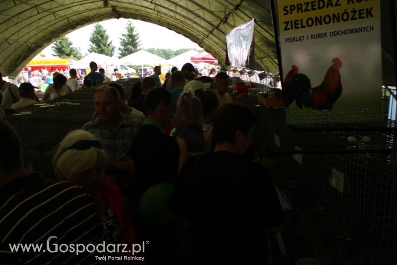 AGRO-TECH w Minikowie 2013