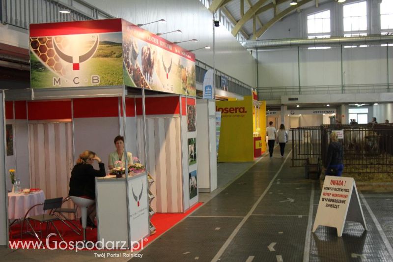 XXVI Krajowa Wystawa Zwierząt Hodowlanych - piątek