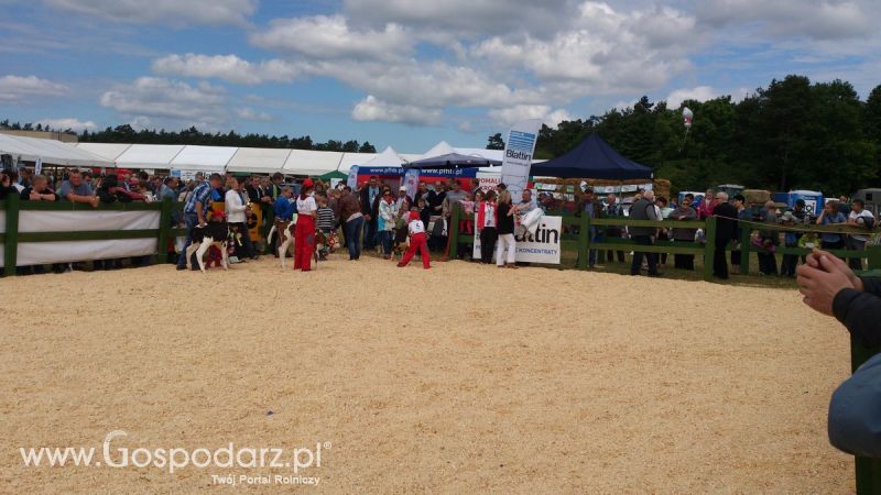 Opolagra 2014 okiem Redaktora Portalu Gospodarz.pl