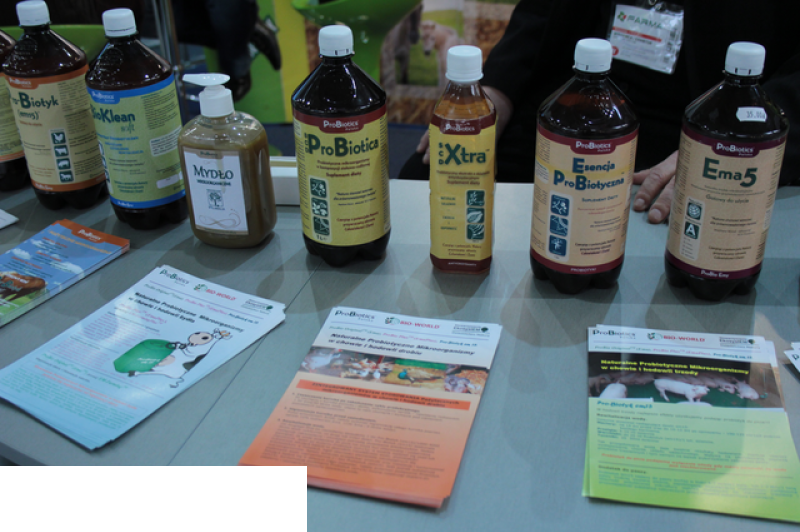 Międzynarodowe Targi Hodowli Zwierząt FARMA