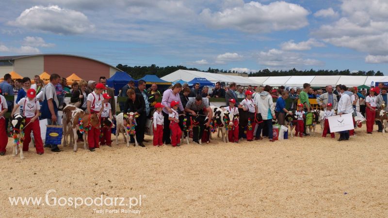 Opolagra 2014 okiem Redaktora Portalu Gospodarz.pl