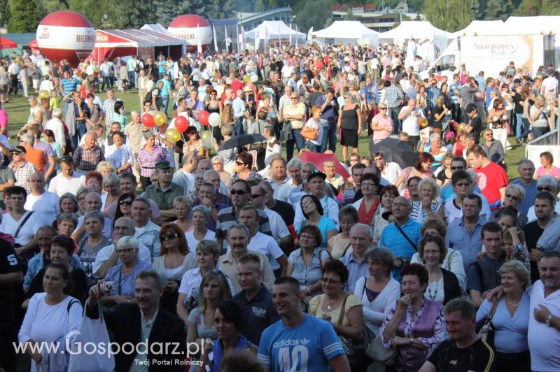 Świętomięs Polski w Chorzowie