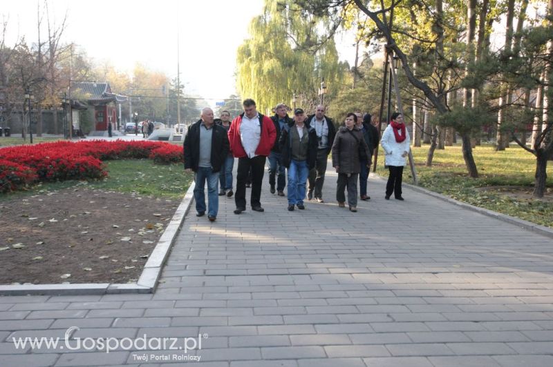 Gospodarz.pl w Chinach