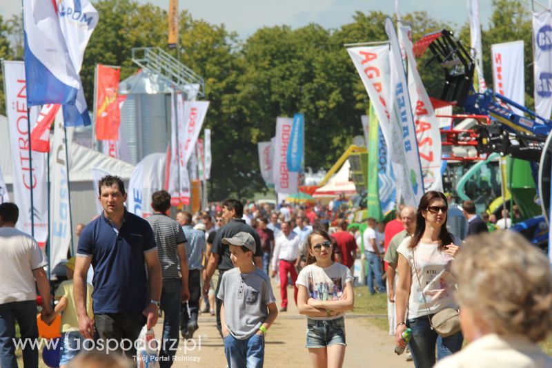 Targi rolne w Szepietowie (27-28.06.2015)