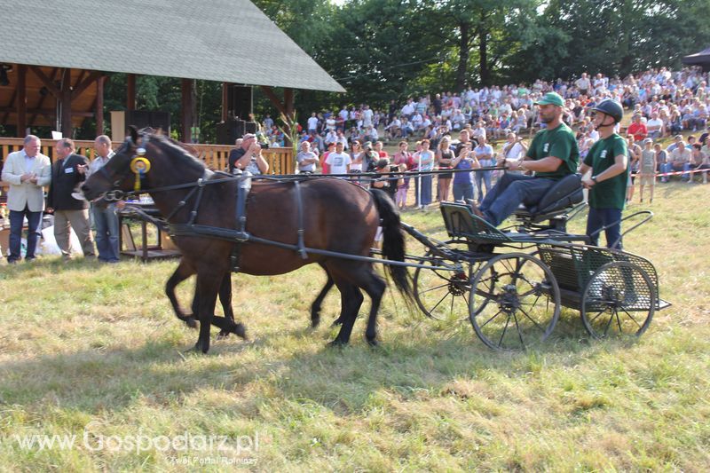 Pokazy konne i wręczenie nagród w Rudawce Rymanowskiej