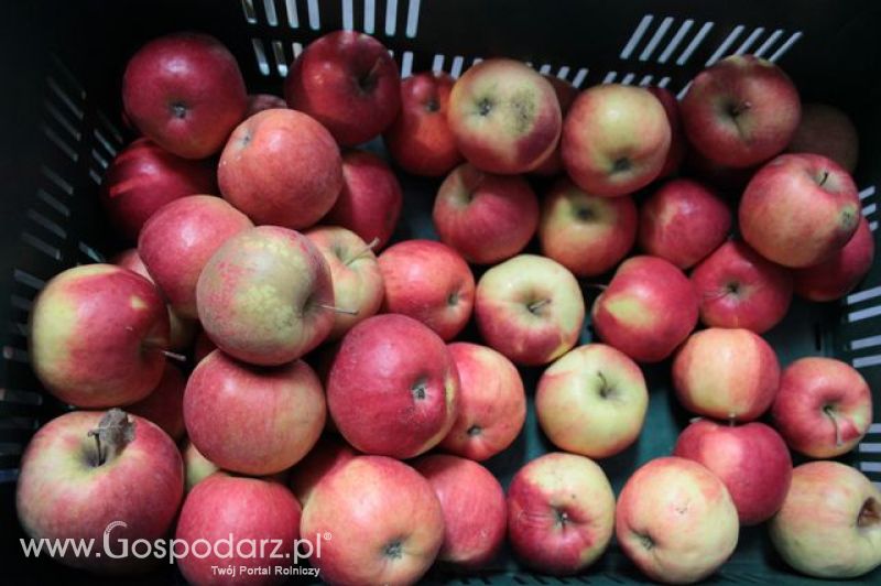 Relacja z XI Międzynarodowych Targów Fermy Bydła - dzień 3
