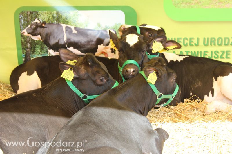 Targi Rolno-Ogrodnicze AGROMARSZ Marszew 2011