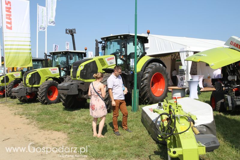  Regionalna Wystawa Zwierząt Hodowlanych W Szepietowie 2016 z Gospodarz.pl