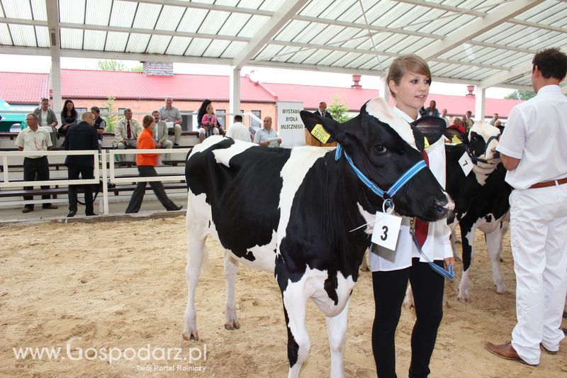 Wystawa bydła Sielinko 2011