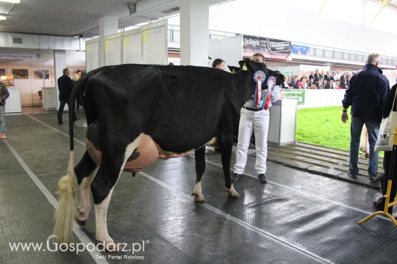 XXVI Krajowa Wystawa Zwierząt Hodowlanych - sobota i niedziela