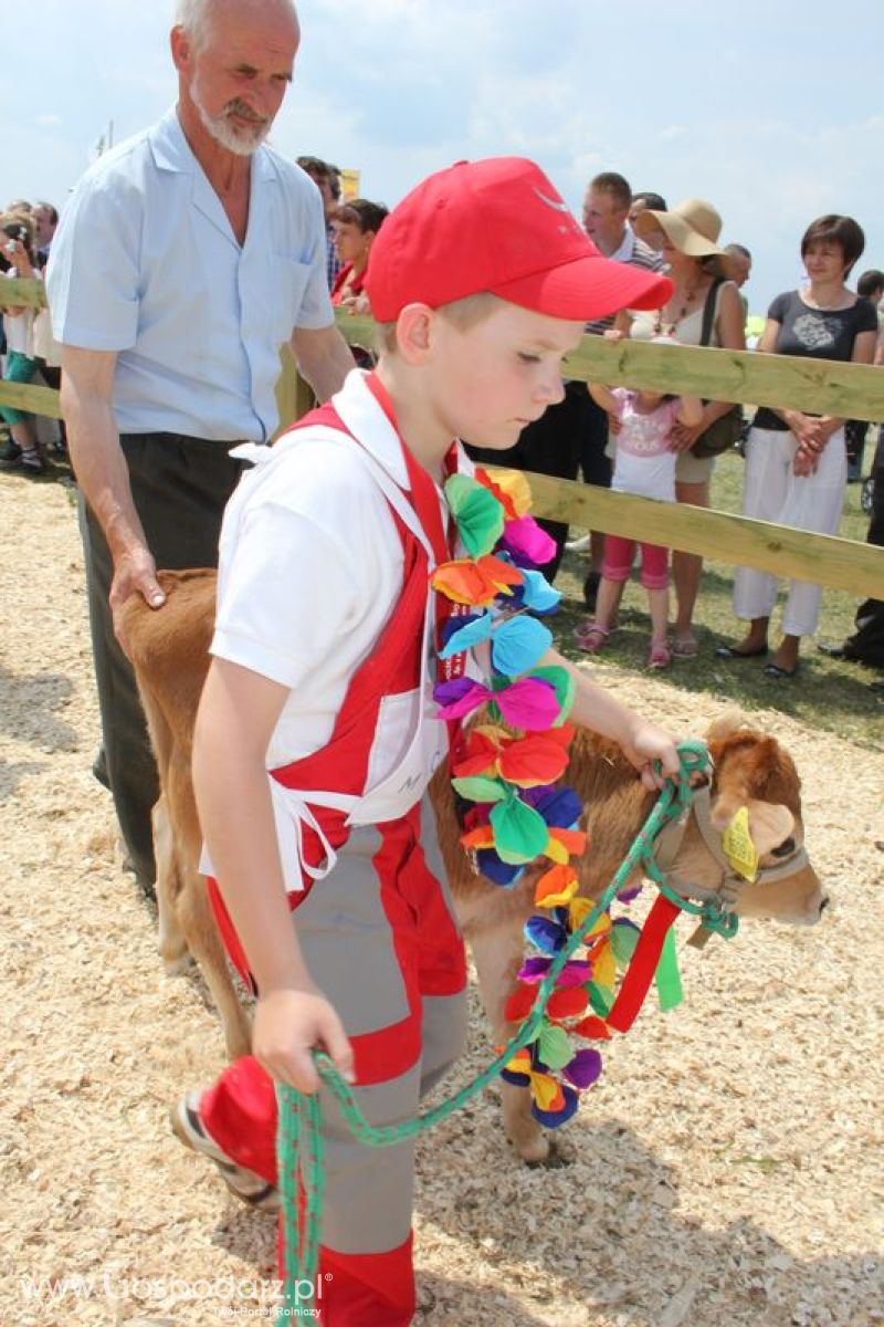 Wystawa Bydła: Konkurs Młodego Hodowcy - Opolagra 2011