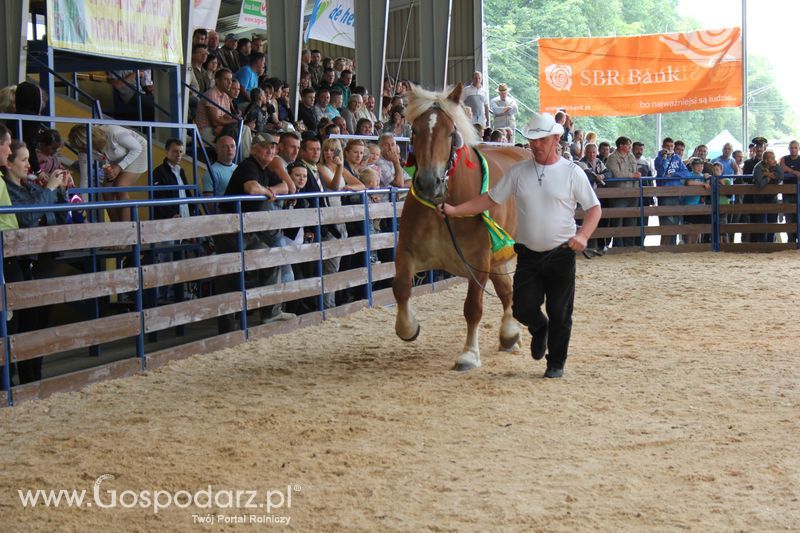 Wręczenie nagród na XVIII Regionalnej Wystawie Zwierząt Hodowlanych w Szepietowie