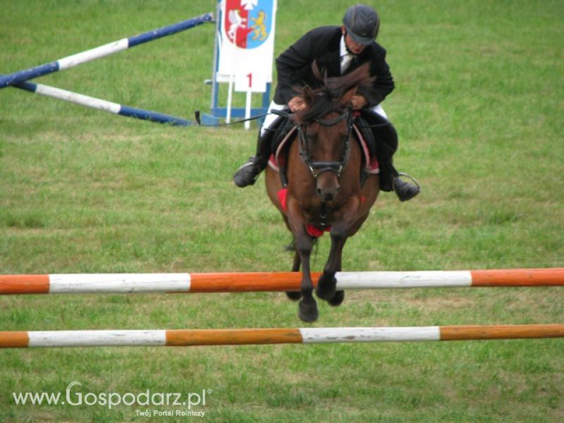 Krajowa Wystawa Ras Rodzimych Rudawka Rymanowska 2012