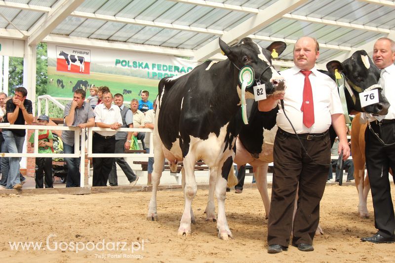 Czempioni XVII Regionalnej Wystawy Zwierząt Hodowlanych Sielinko 2011