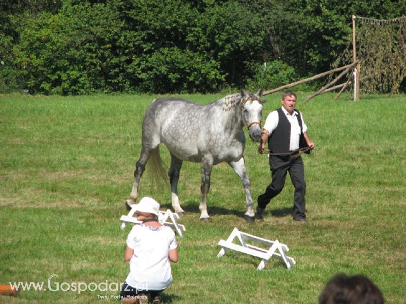 Krajowa Wystawa Ras Rodzimych Rudawka Rymanowska 2012