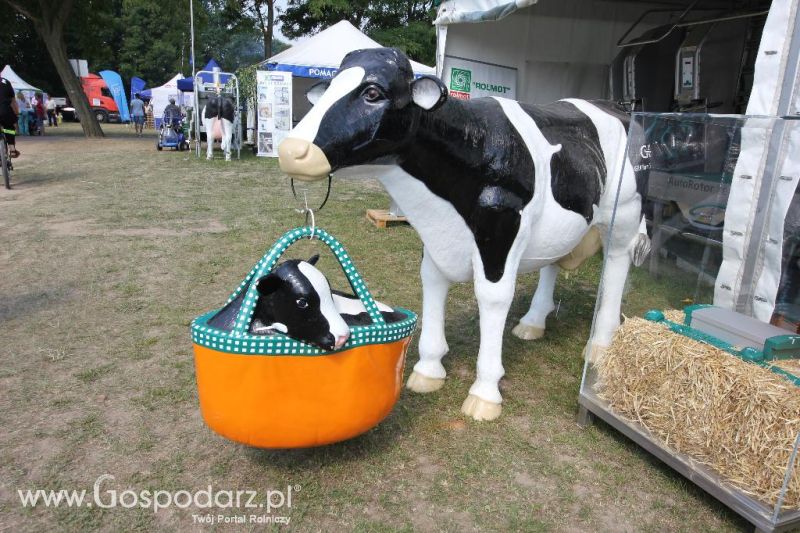 AGRO-TECH Minikowo 2014 - niedziela