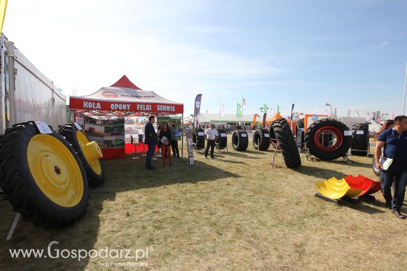 AGRO SHOW Bednary 2016 - Niedziela