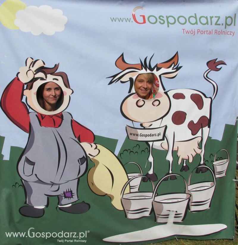 Agro Show 2011 Bednary Zdjęcie z krówką Sobota