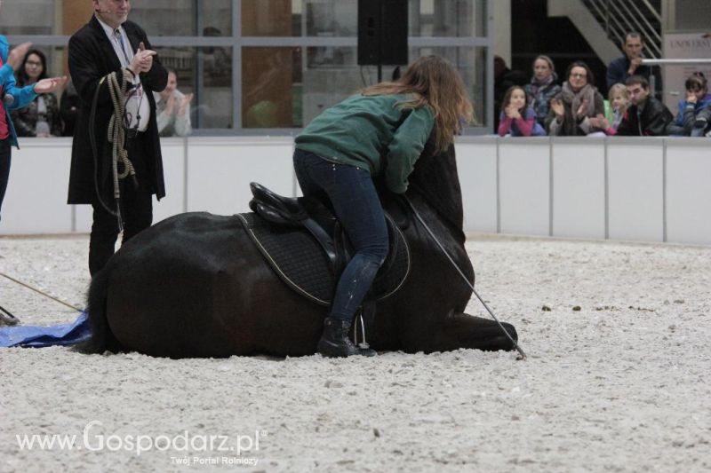 CAVALIADA 2013 w Poznaniu