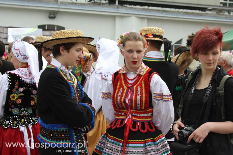 Mięsna Arena 2013 w Poznaniu