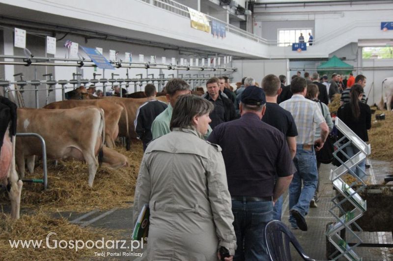 XXVI Krajowa Wystawa Zwierząt Hodowlanych - sobota i niedziela