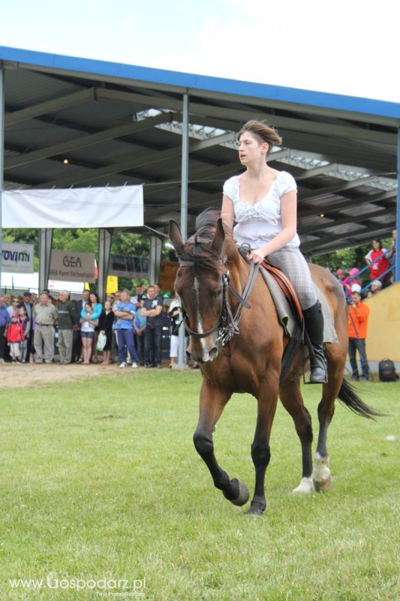 XVIII Regionalna Wystawa Zwierząt Hodowlanych i Dni z Doradztwem Rolniczym w Szepietowie - Sobota