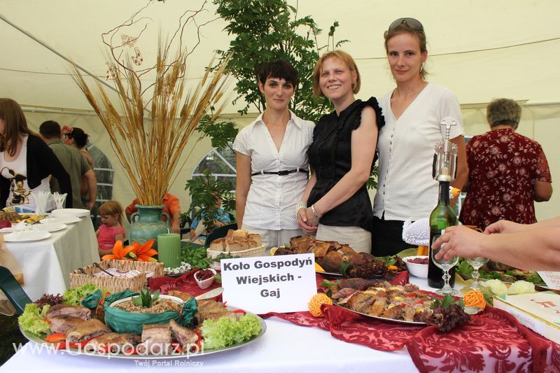 VIII Święto Gęsi - Konkurs kulinarny Najlepsza potrawa z Gęsi