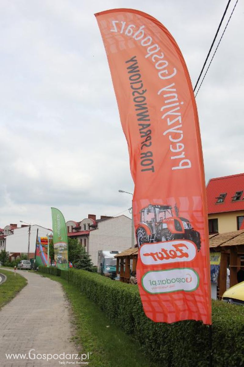 Święto Kaczki w Przygodzicach