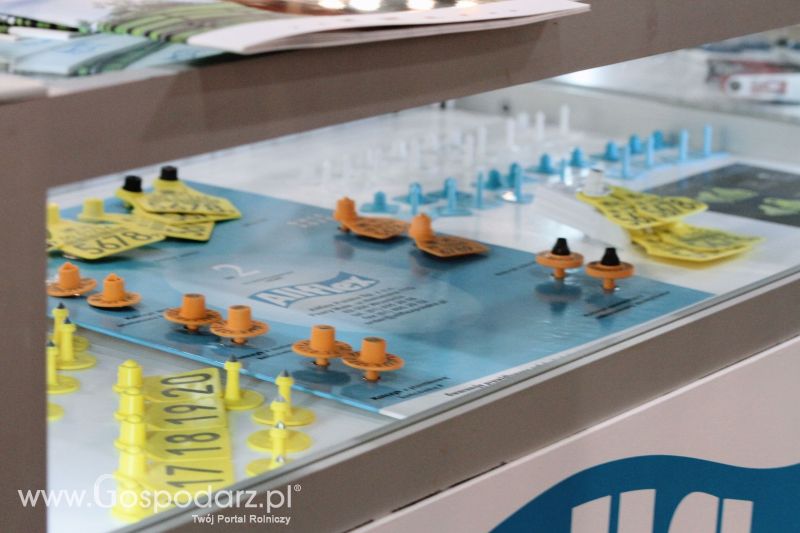Ferma 2019 dzień 1