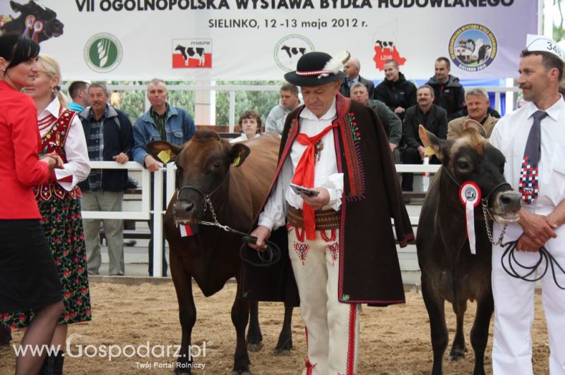 Prezentacja Championów na VII Ogólnopolskiej Wystawie Bydła Hodowlanego w Sielinku 2012