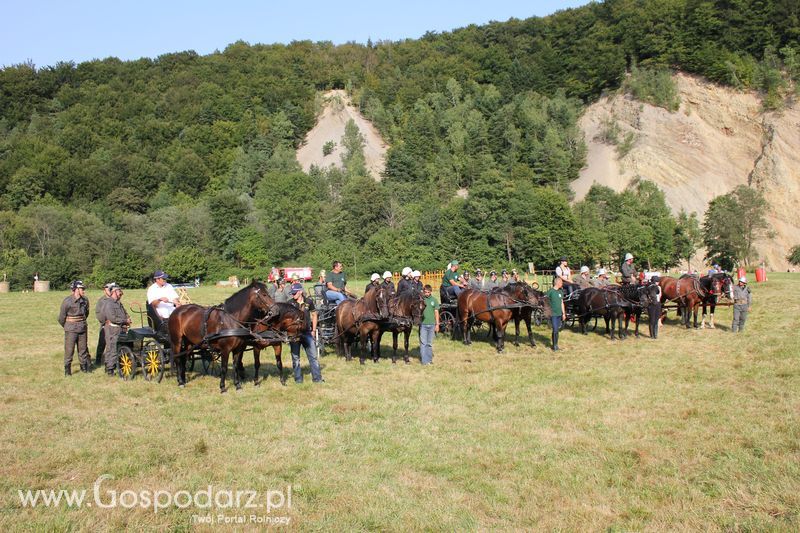 Pokazy konne i wręczenie nagród w Rudawce Rymanowskiej