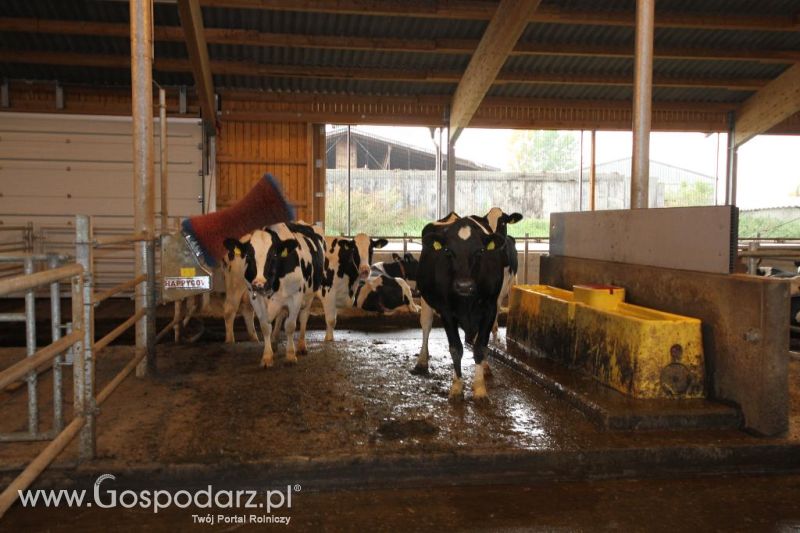 Wyjazd studyjny na farmę Langengrassau w Niemczech
