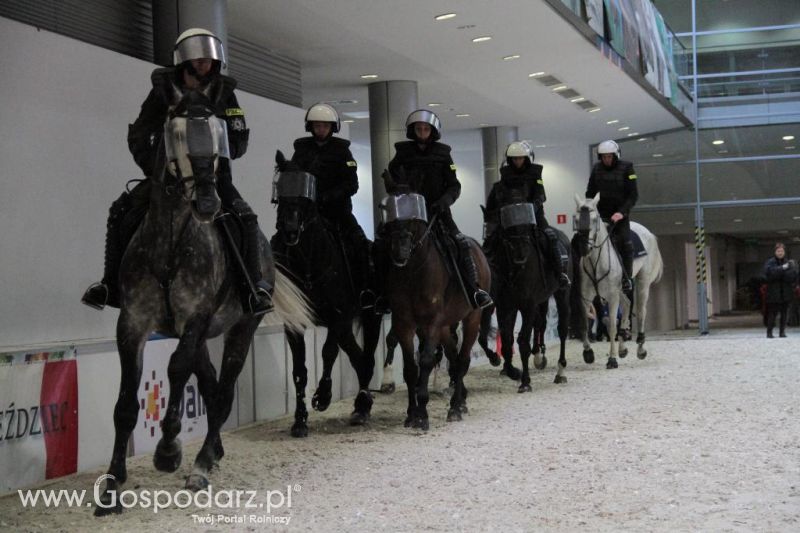 CAVALIADA 2013 w Poznaniu