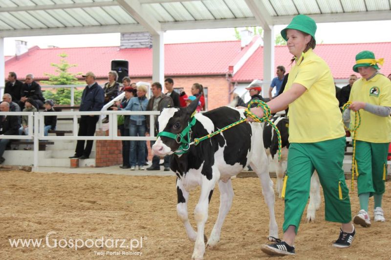 Mali Hodowcy VII Ogólnopolska Wystawa Bydła Hodowlanego w Sielinku 2012