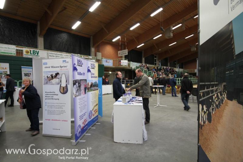 Wystawa  Blickpunkt Rind 2013 w miejscowości Paaren/Glien (Niemcy)