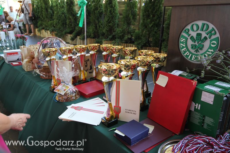  Regionalna Wystawa Zwierząt Hodowlanych W Szepietowie 2016 z Gospodarz.pl