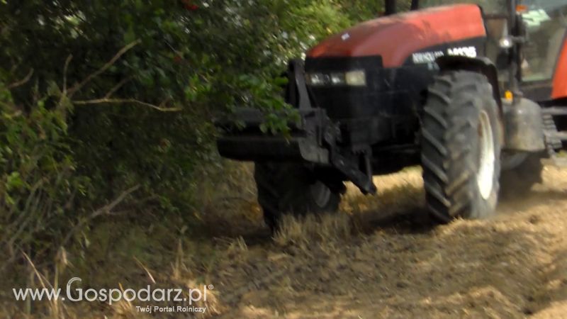 Talerzowane 2013 