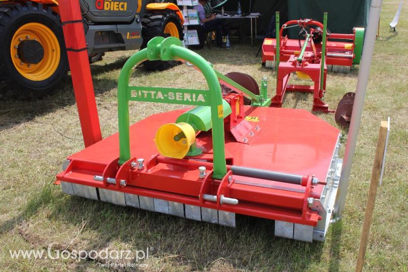 Ditta-Seria na Opolagrze 2013