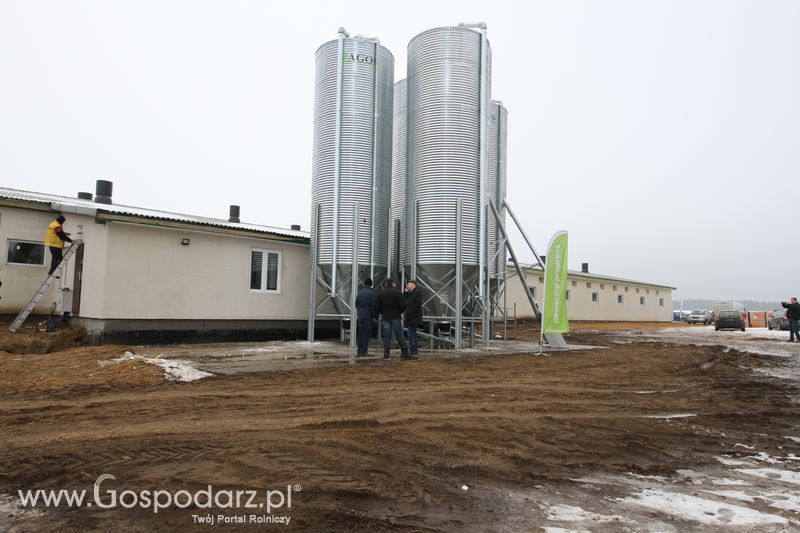 Chlewnia z systemem karmienia na mokro