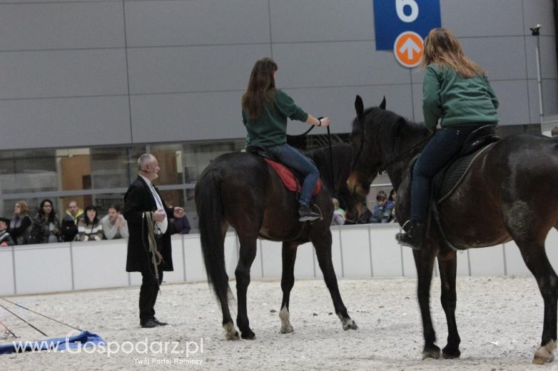 CAVALIADA 2013 w Poznaniu