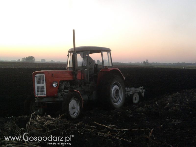 akcja  orka 2011 C-360 po kukurydzy 