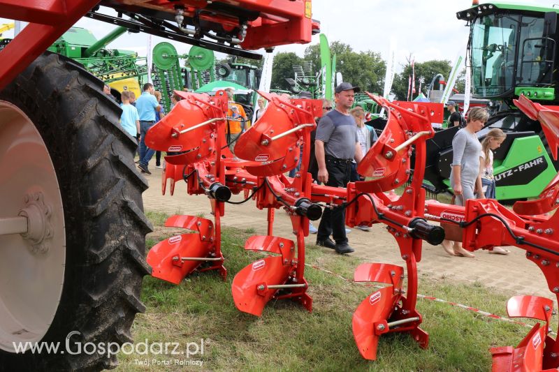 Maschio Gaspardo na Regionalnej Wystawie Zwierząt Hodowlanych i Dni z Doradztwem w Szepietowie 2017