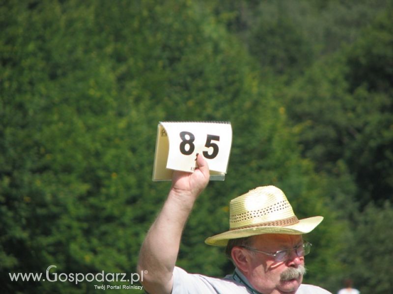 Krajowa Wystawa Ras Rodzimych Rudawka Rymanowska 2012