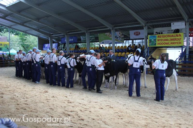 Regionalna Wystawa Zwierząt Hodowlanych i Dni z Doradztwem Rolniczym w Szepietowie-sobota