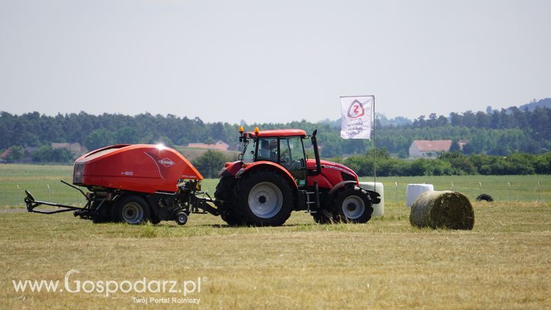 Pokazy polowe podczas targów OPOLAGRA 2015